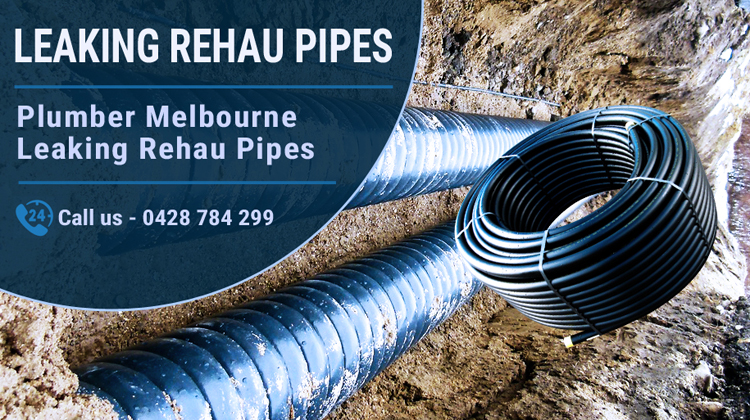 Leaking Water Pipes Replacement Coronet Bay