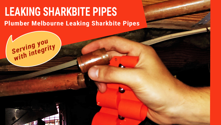 Leaking Sharkbite Pipes Repair Corio